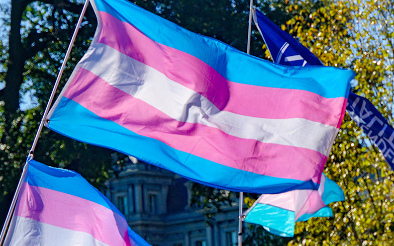 State Laws Violate Trans Health Rights