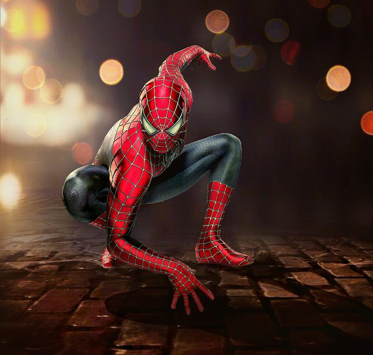 Spiderman Street Costume Character Superhero