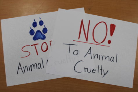 Animal cruelty has been a major topic of controversy. 