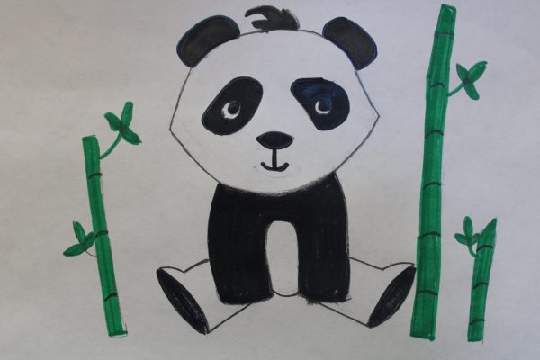 Drawing of a panda surrounded by bamboo.