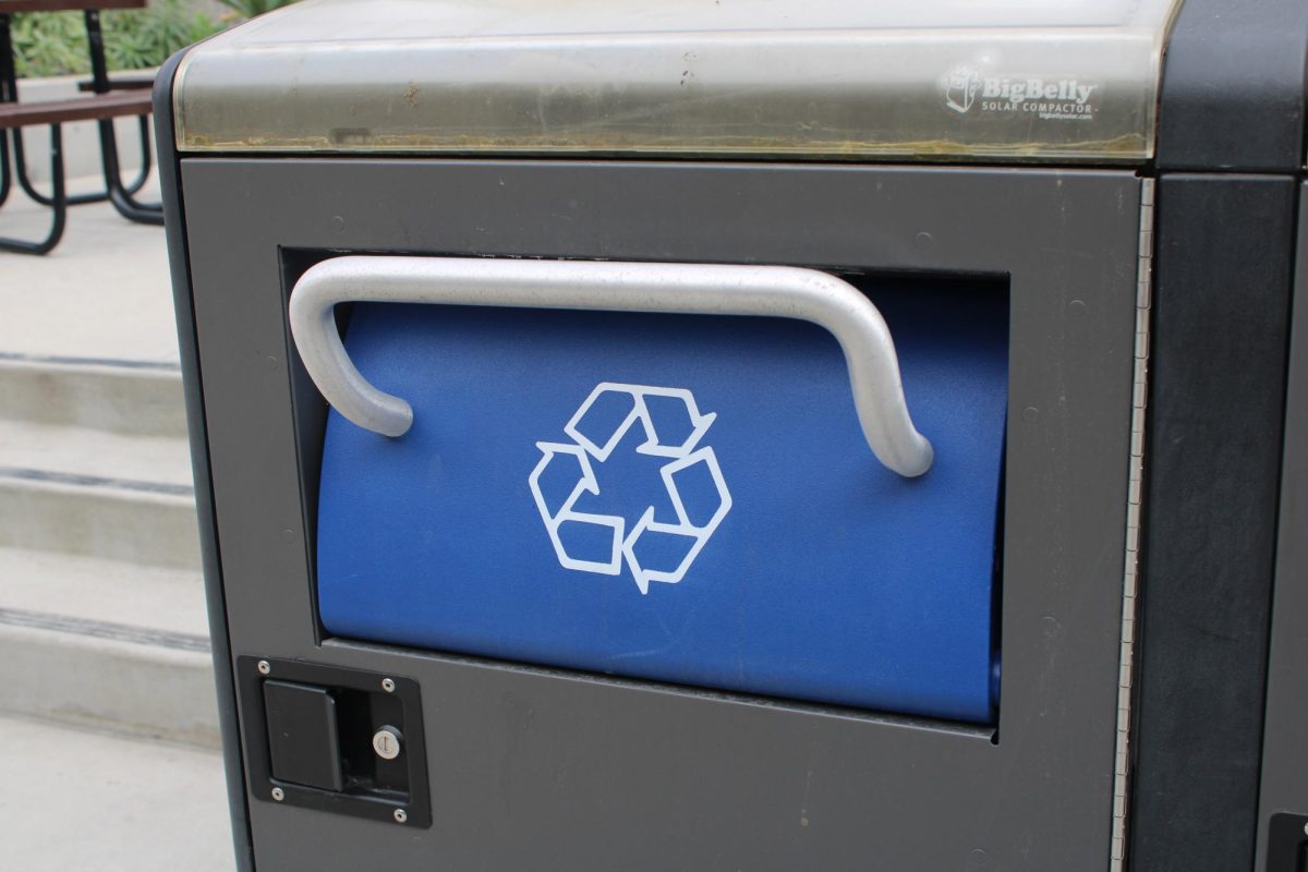 Combating the Garbage Problem Through Recycling