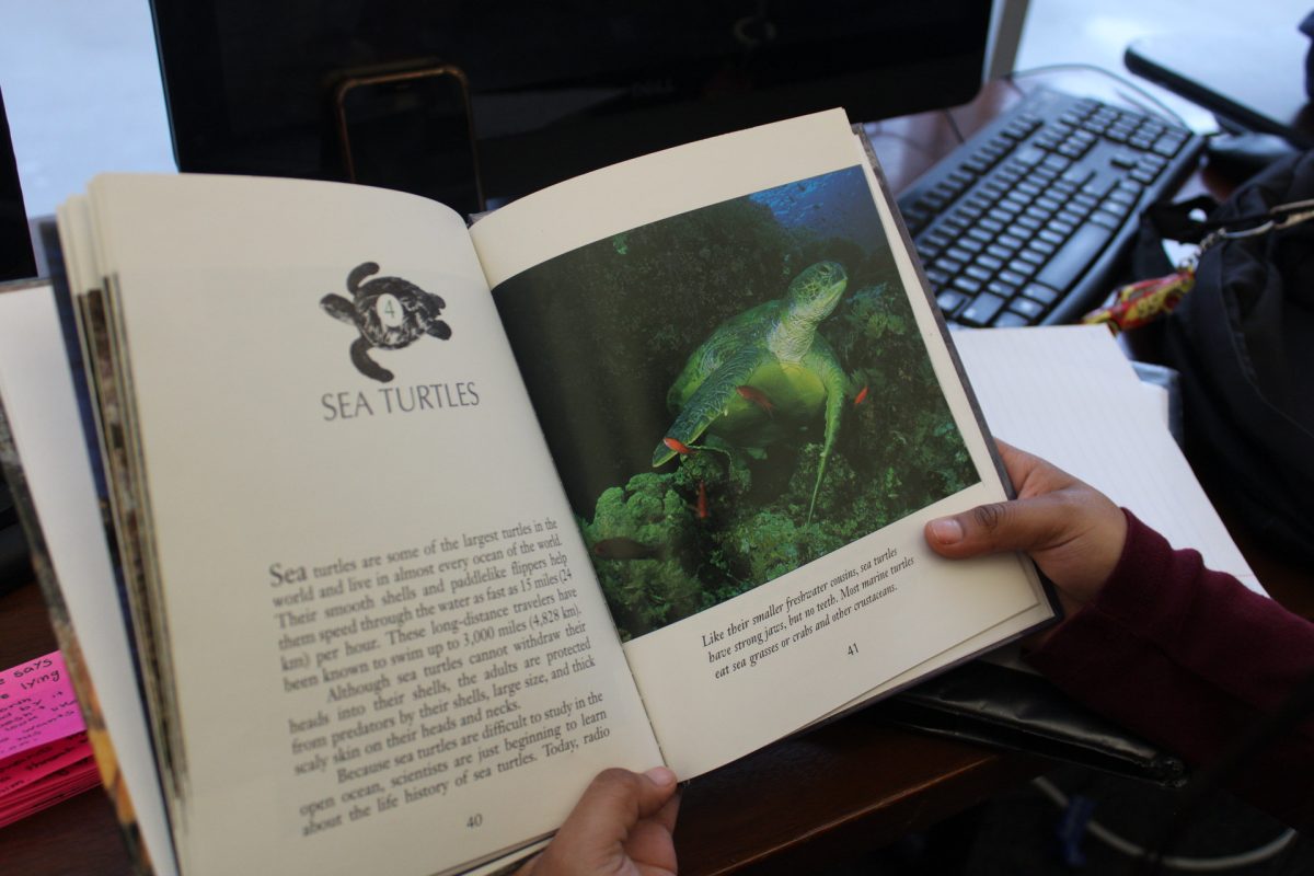 Facts about Sea Turtles can be found in the book Turtles, by Ethan Thomas. 