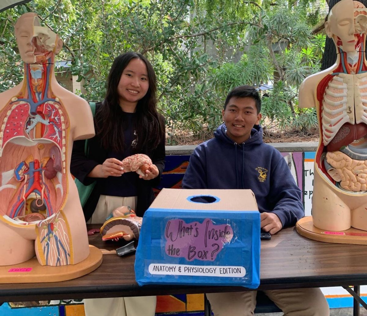 Vy Ho (24) and Travis Pham (25)  represent science olympiads anatomy committee at science festival.