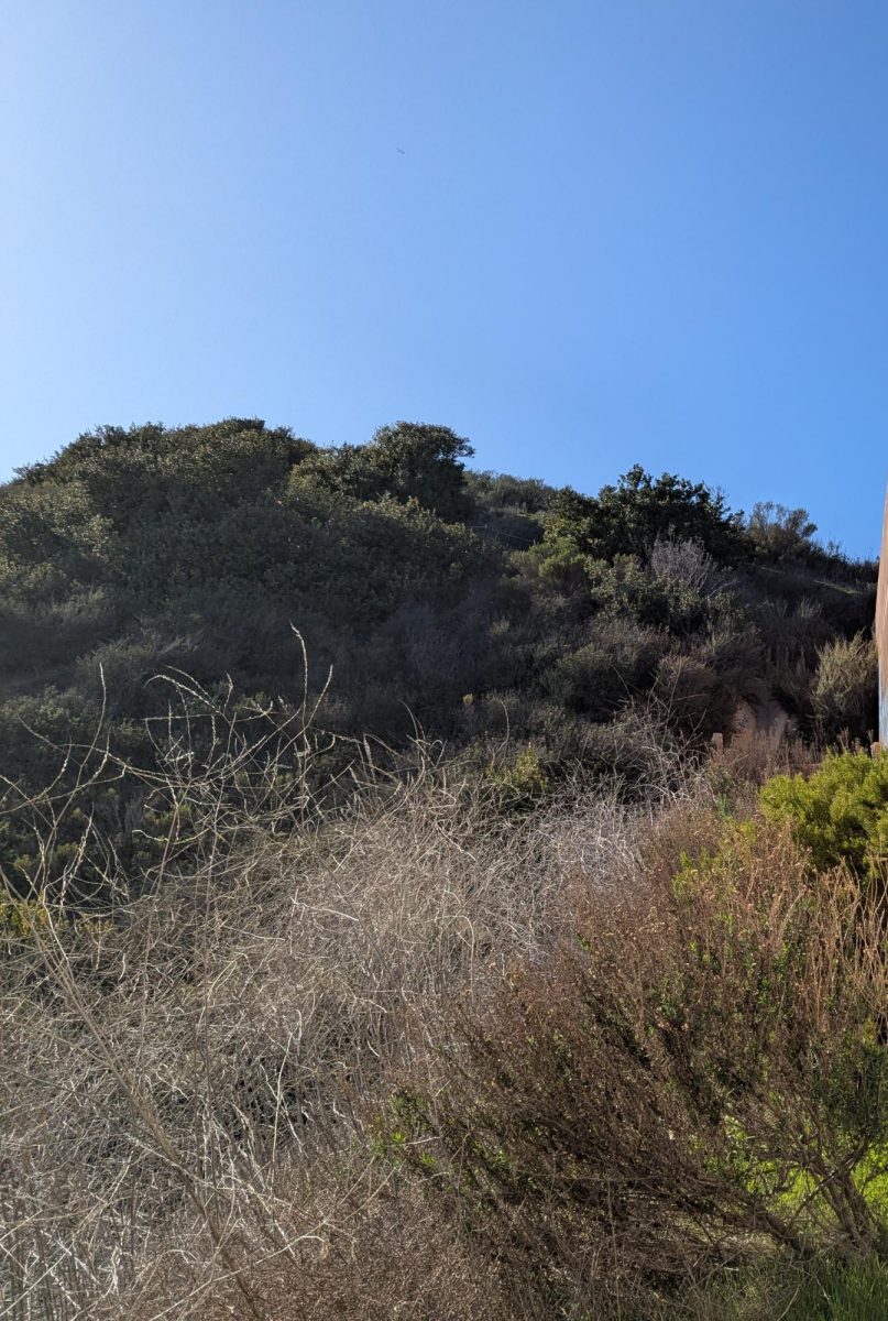 Mid-city open space trail.
