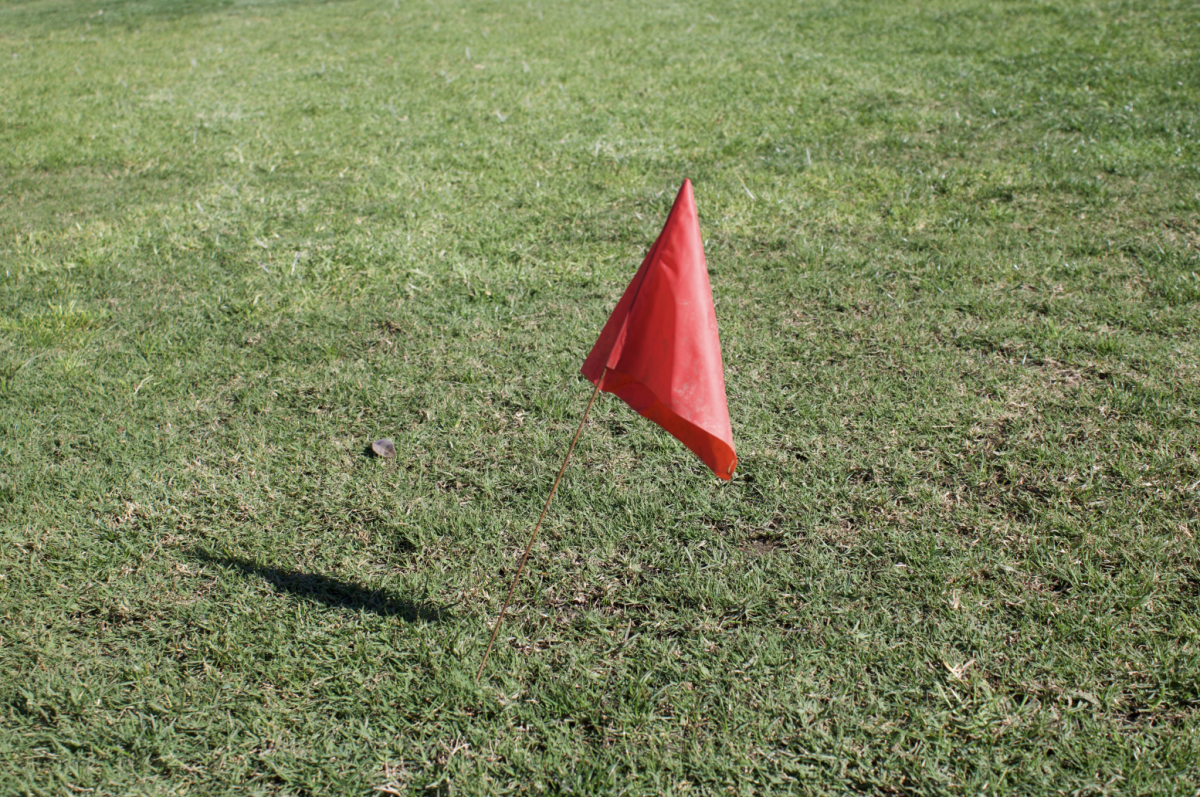 Field being marked for improvement.