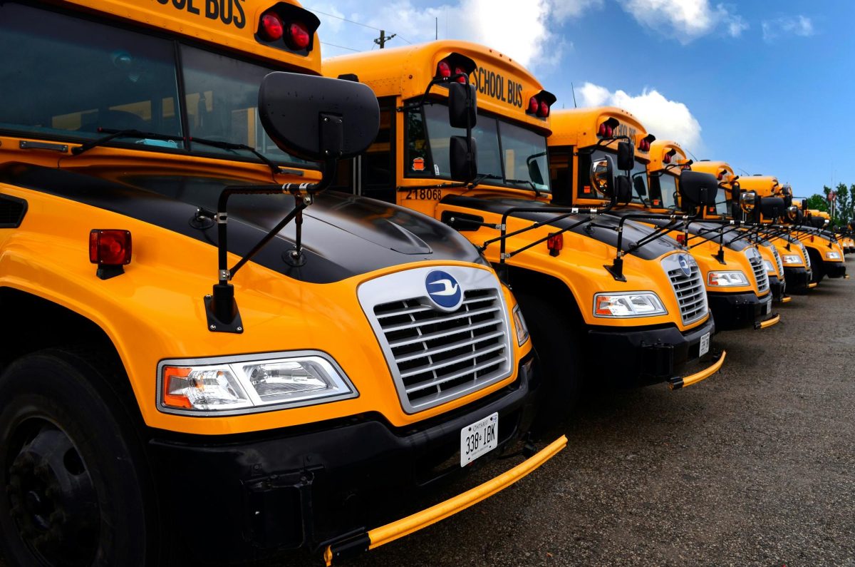 A line of school bus